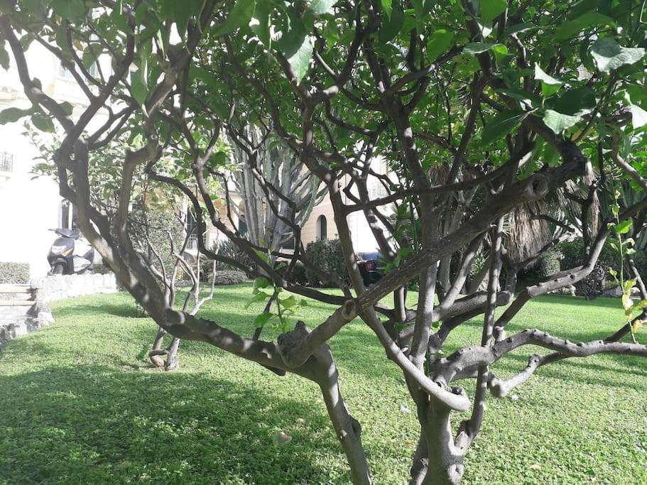 La Casa Di Anna, In Palazzina Liberty Fronte Parco Daire Bordighera Dış mekan fotoğraf